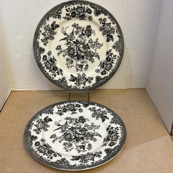 Pair of Royal Stafford Toile Dinner Plates - Picture 2 of 7